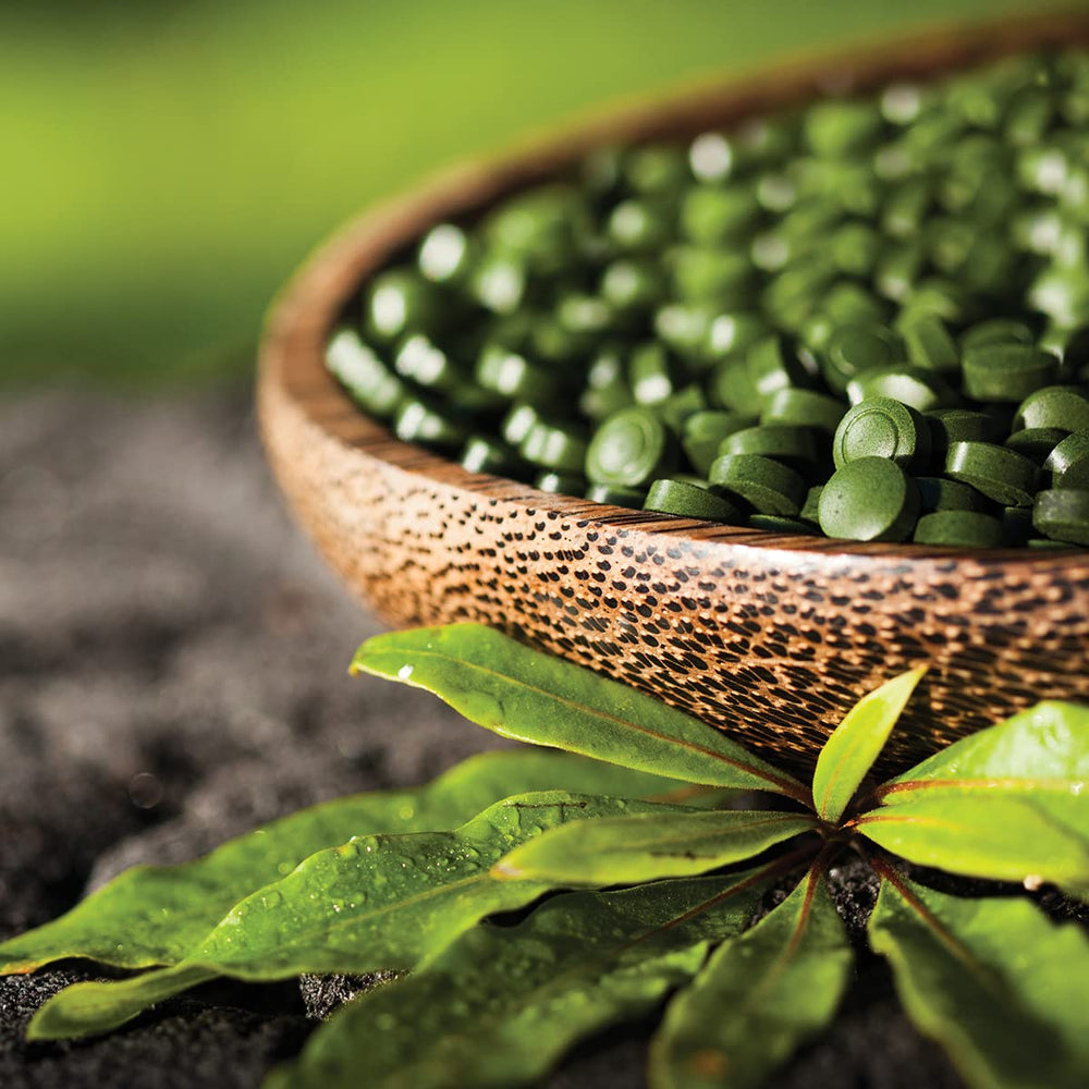 Sun Chlorella non-GMO seal on packaging communicates pure ingredients.