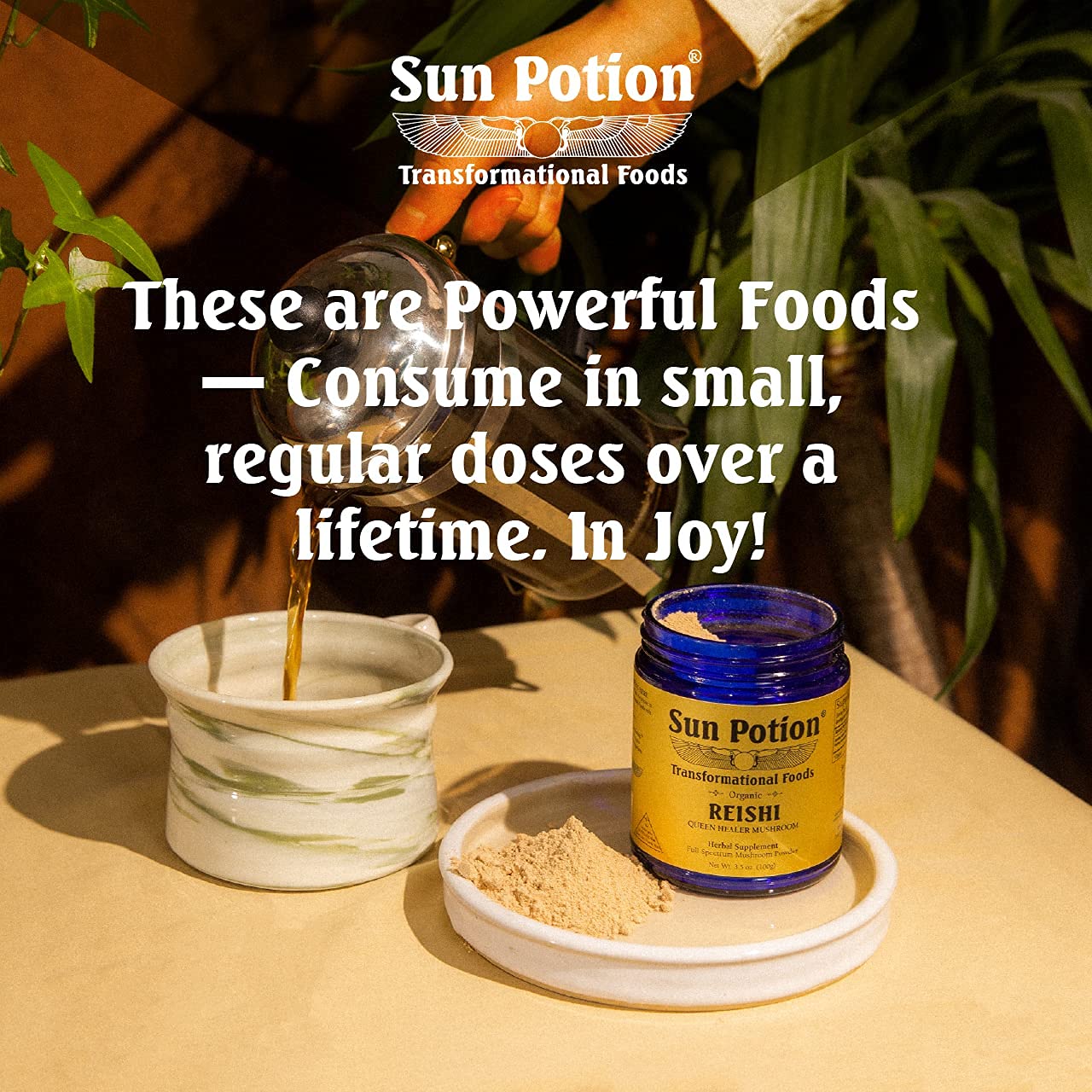 Sun Potion Ganoderma lucidum Ling Zhi illustration representing traditional adaptogen heritage.