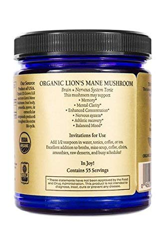 Sun Potion Lion's Mane powder in a cup ready for daily ritual