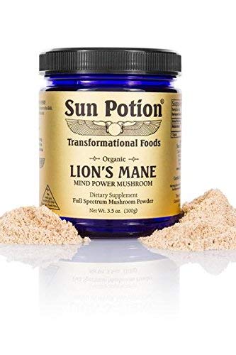 Sun Potion Lion's Mane jar on counter inviting mindful focus