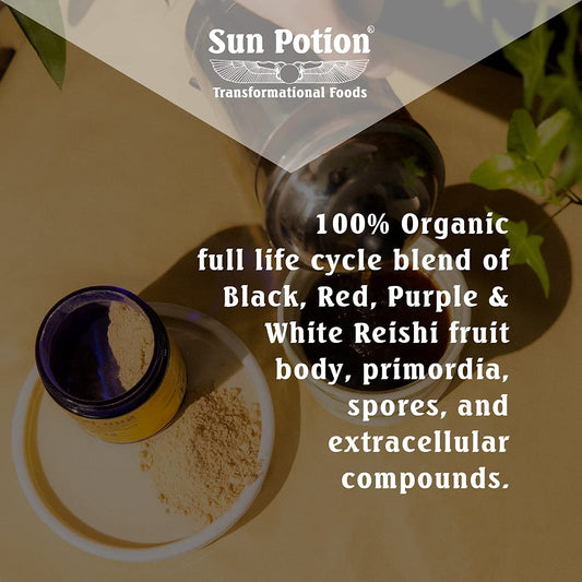 Sun Potion organic reishi powder jar ready for a soothing tea ritual.