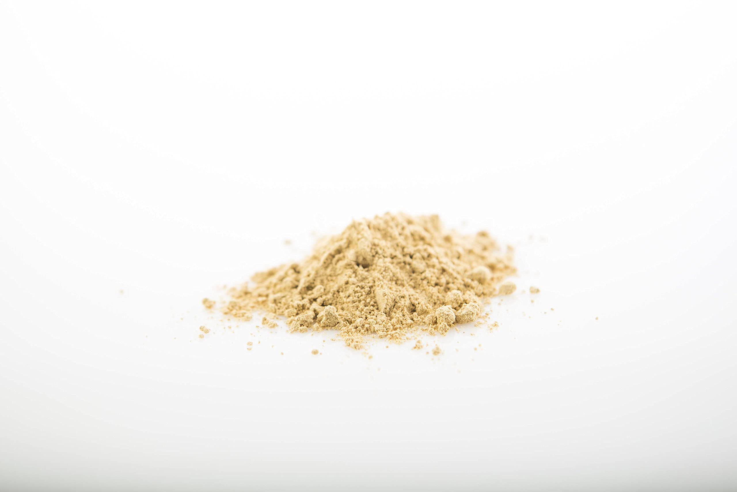 Sun Potion reishi powder in cup showing soothing evening ritual.