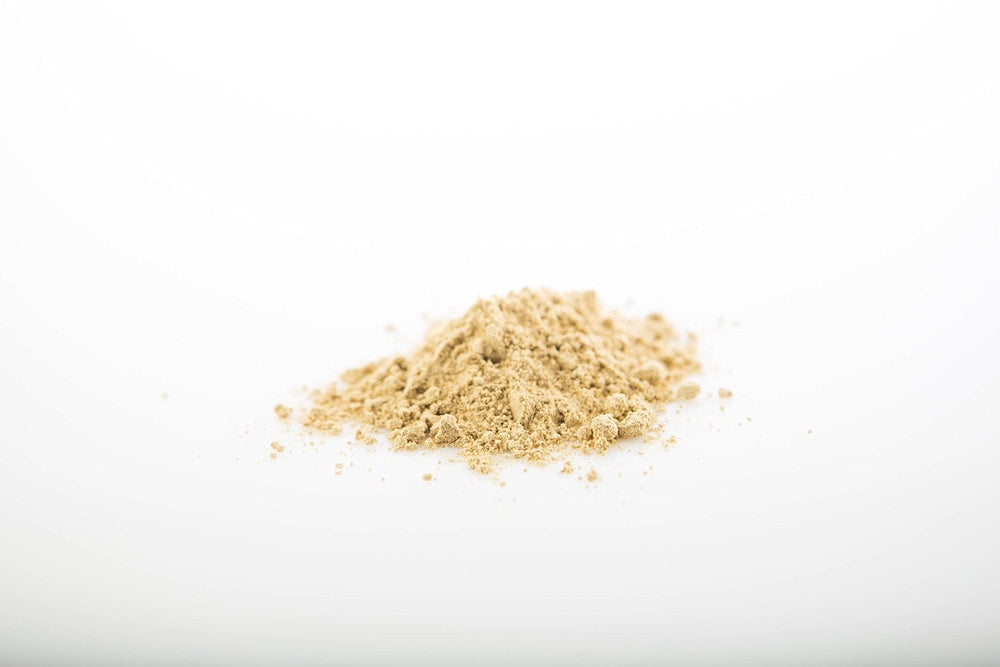 Sun Potion reishi powder in cup showing soothing evening ritual.