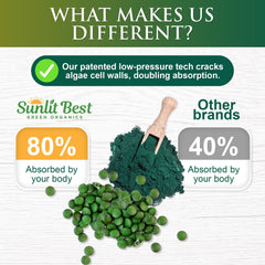 Sunlit Best Green Organics Taiwan-origin production scene emphasizes GMP standards.
