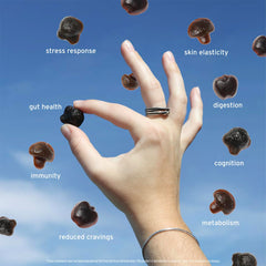 SUNMED Supergreens Daily Gummies Ashwagandha and Green Tea highlights adaptogens for focus