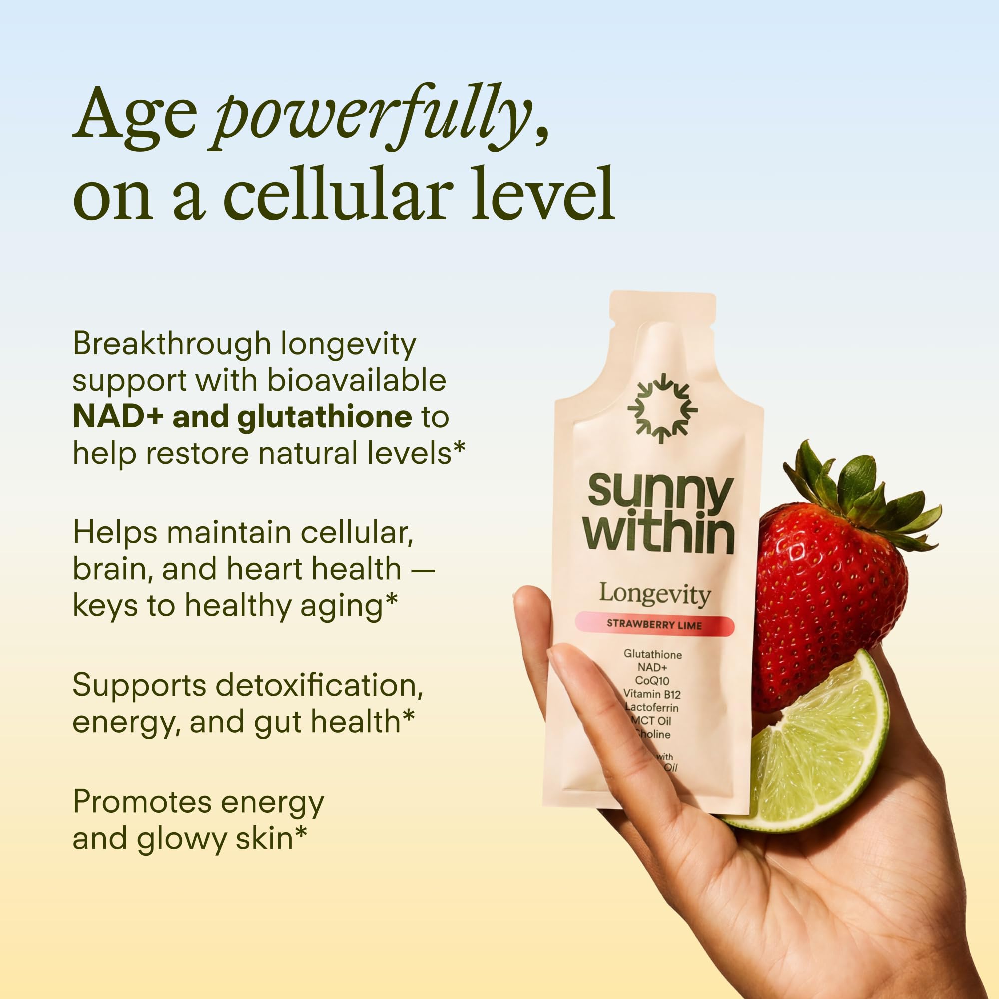 Sunny Within Longevity liquid NAD drops illustrate bioavailable NAD+ delivery