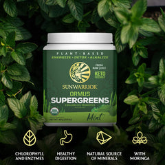 Sunwarrior alfalfa, barley and wheatgrass blend showcases natural greens vitamins.