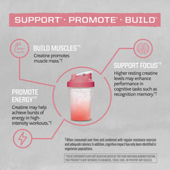 Sunwarrior Creatine Monohydrate scoop on table ready for training