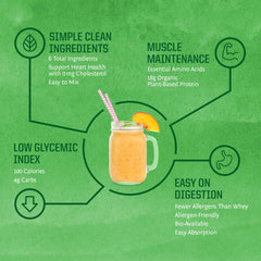 Sunwarrior prepared bowl illustrating versatile vegan post-workout snack