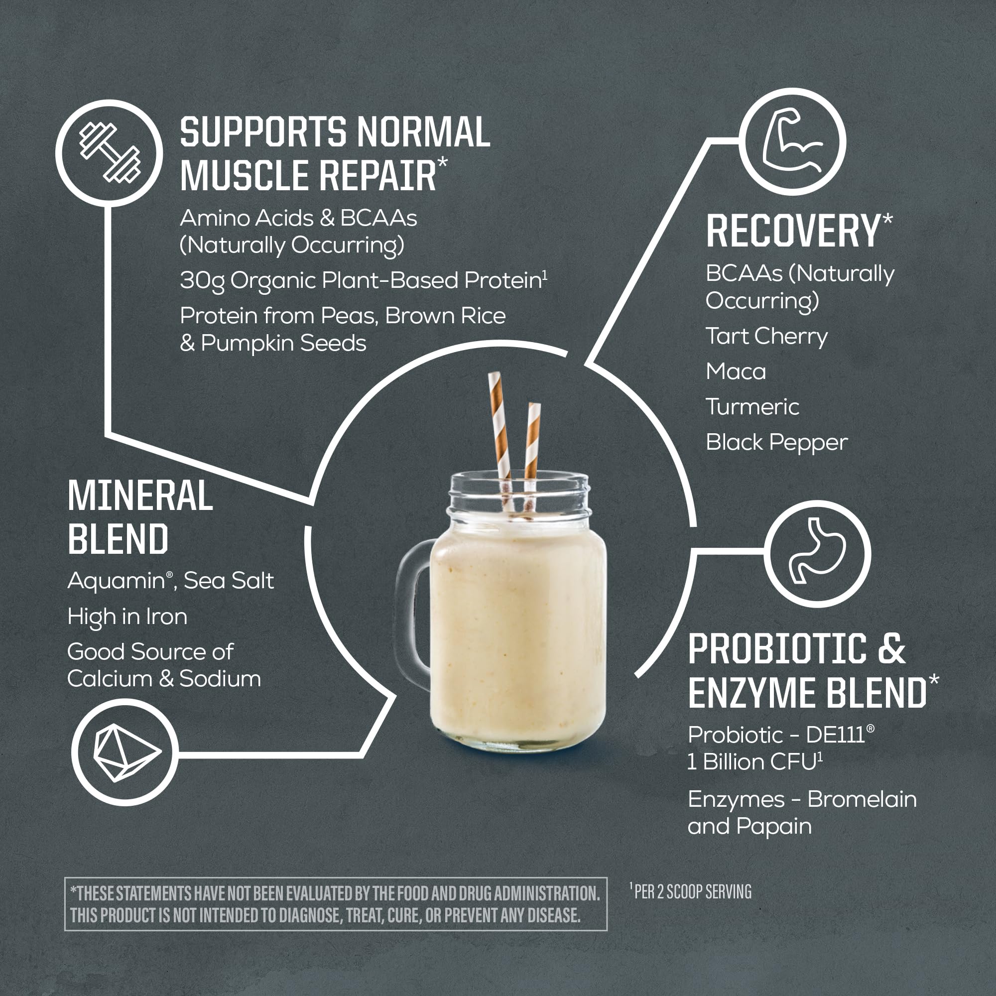 Sunwarrior Organic Protein Powder ingredients image featuring rice, pumpkin and pea proteins