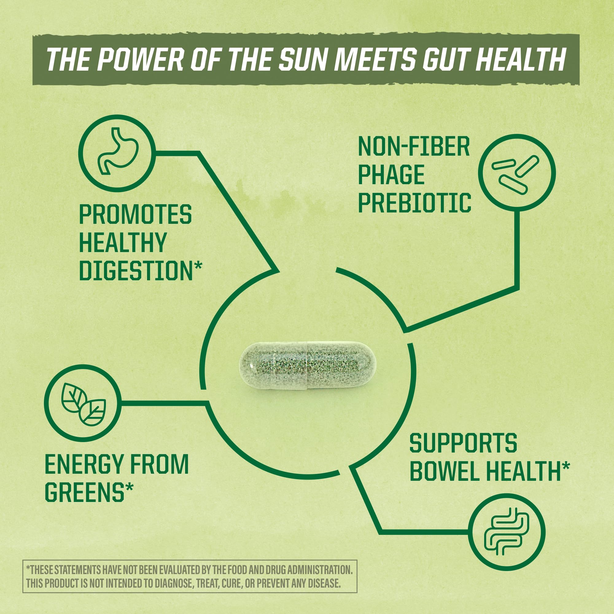 Sunwarrior Probiotics shelf-stable icon highlighting long-lasting freshness.