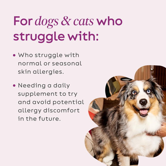 Super Snouts Super Shrooms tsp scoop helps simple daily dosing for dogs and cats.