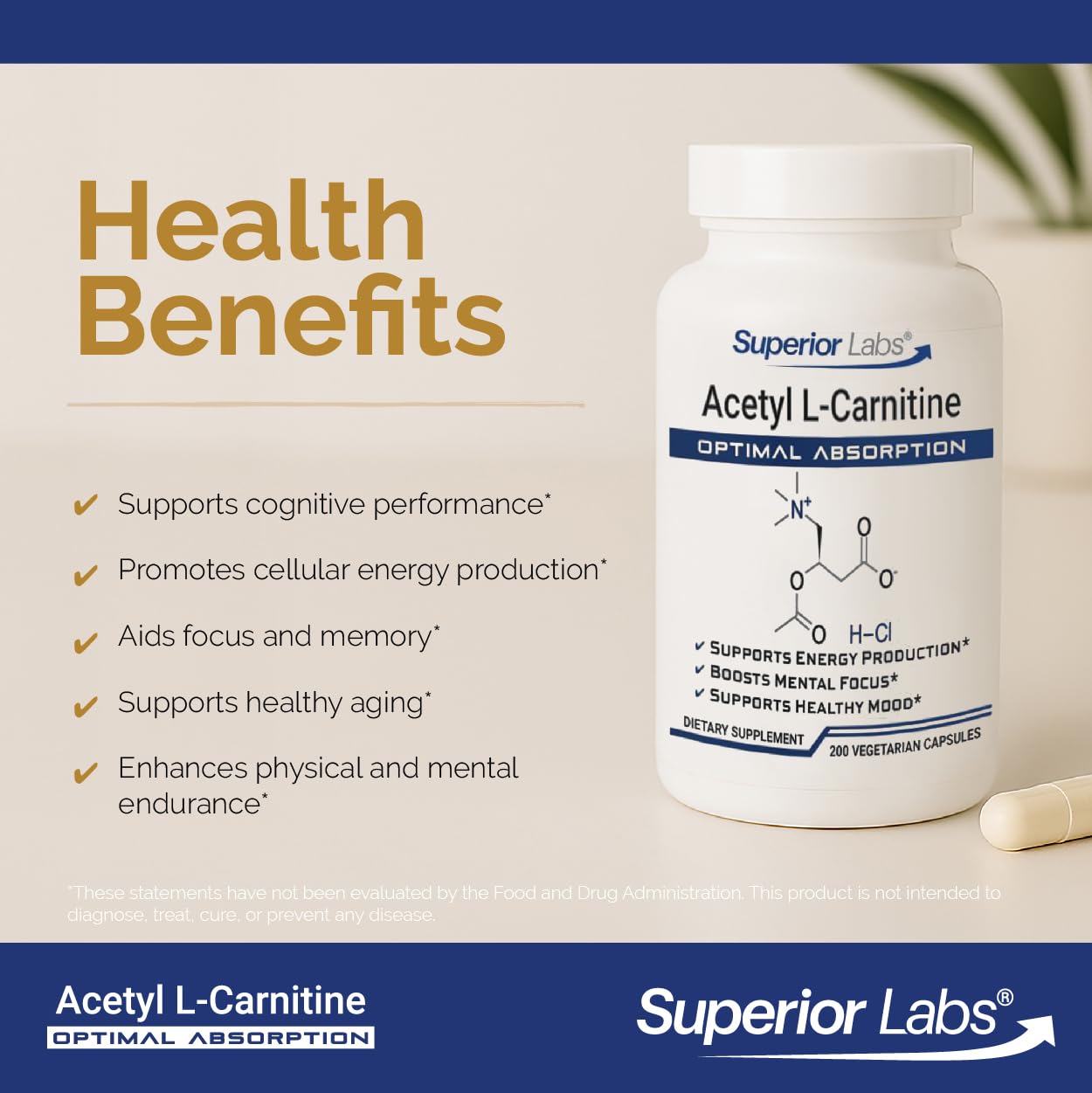 Superior Labs Acetyl L-Carnitine 500mg label-front for product details