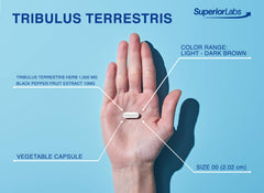 Back label of Superior Labs bottle with usage directions and quality assurances.