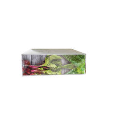 Superlifeworld SCC15 capsules pack highlights convenient, toxin-expelling lifestyle benefits.