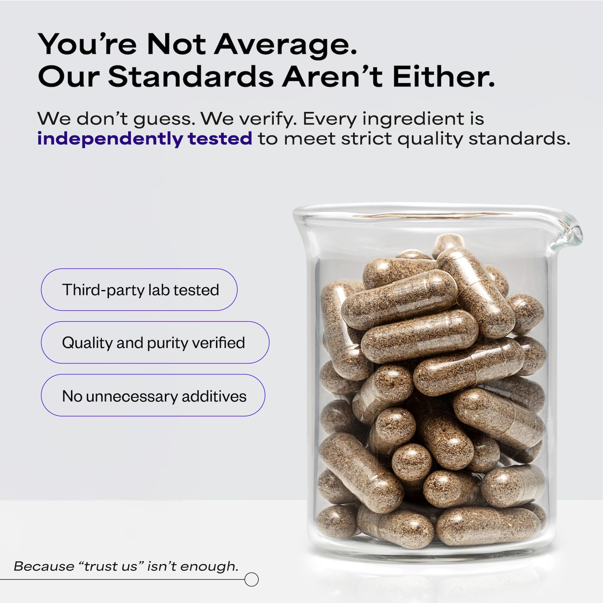 Freeze-dried liver image representing concentrated nutrient content in Organs101.
