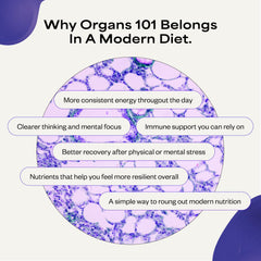 Organs101 kidney portion emphasizing diverse nutrient sources.