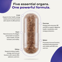 Organs101 packaging with seal communicates freshness and quality.