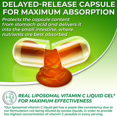 SUPPLEMENTS STUDIO Liposomal Vitamin C bottle with label highlights sunflower lecithin for enhanced bioavailability.
