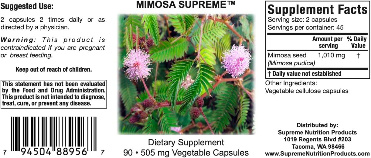 Pure Mimosa pudica seed capsules in closeup for daily use.