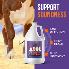 Sure Champ Joint Juice MBH3 hyaluronan for joint function.
