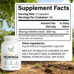SUUDUUL Golden Chapter Moringa leaf ingredient shot for plant-based nutrition