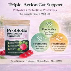 SUUDUUL Probiotic Kombucha Gummies berry texture supports daily wellness with a tasty bite.
