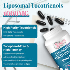Liposomal absorption concept illustration for enhanced delivery