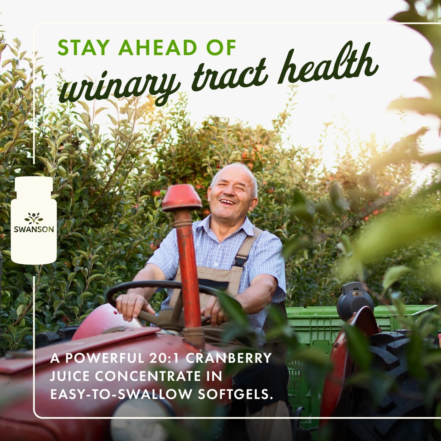 Swanson Cranberry softgels pouring into glass for daily use
