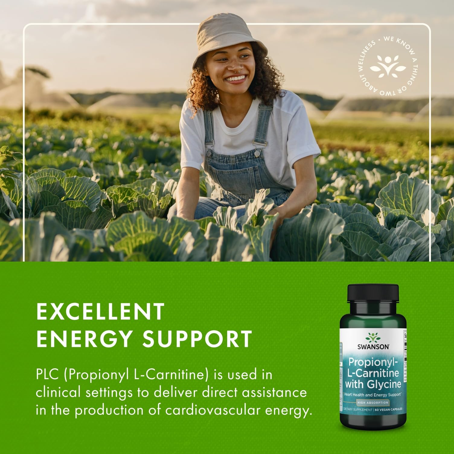 Swanson Propionyl L-Carnitine Glycine capsules in a row suggest consistent daily use.