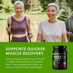 Swanson Full Potential Whey Chocolate ingredients glass highlights electrolyte blend.