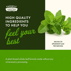 Swanson Spearmint Leaf dispensing pour illustrating easy daily use