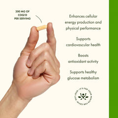 Swanson Ultra CoQ10 packaging displayed to underscore antioxidant benefits