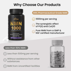 Syloni NMN capsules in hand for easy daily use