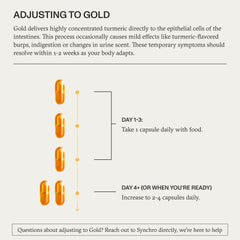 Synchro Gold CO2 extraction icon representing broad turmeric compound profile.