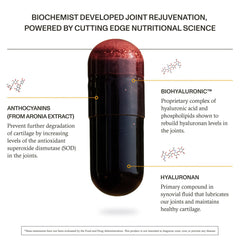Synchro ReJuve joint label emphasizes BioHyaluronic ingredients and usage guidance.