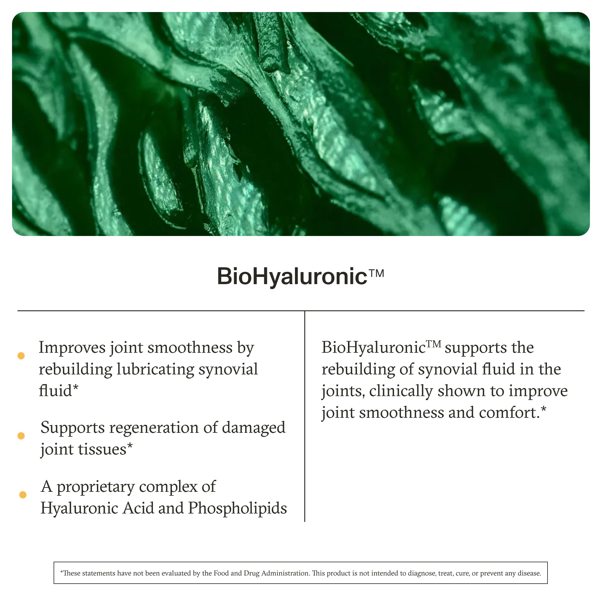 Synchro ReJuve packaging box conveys premium joint health solution.
