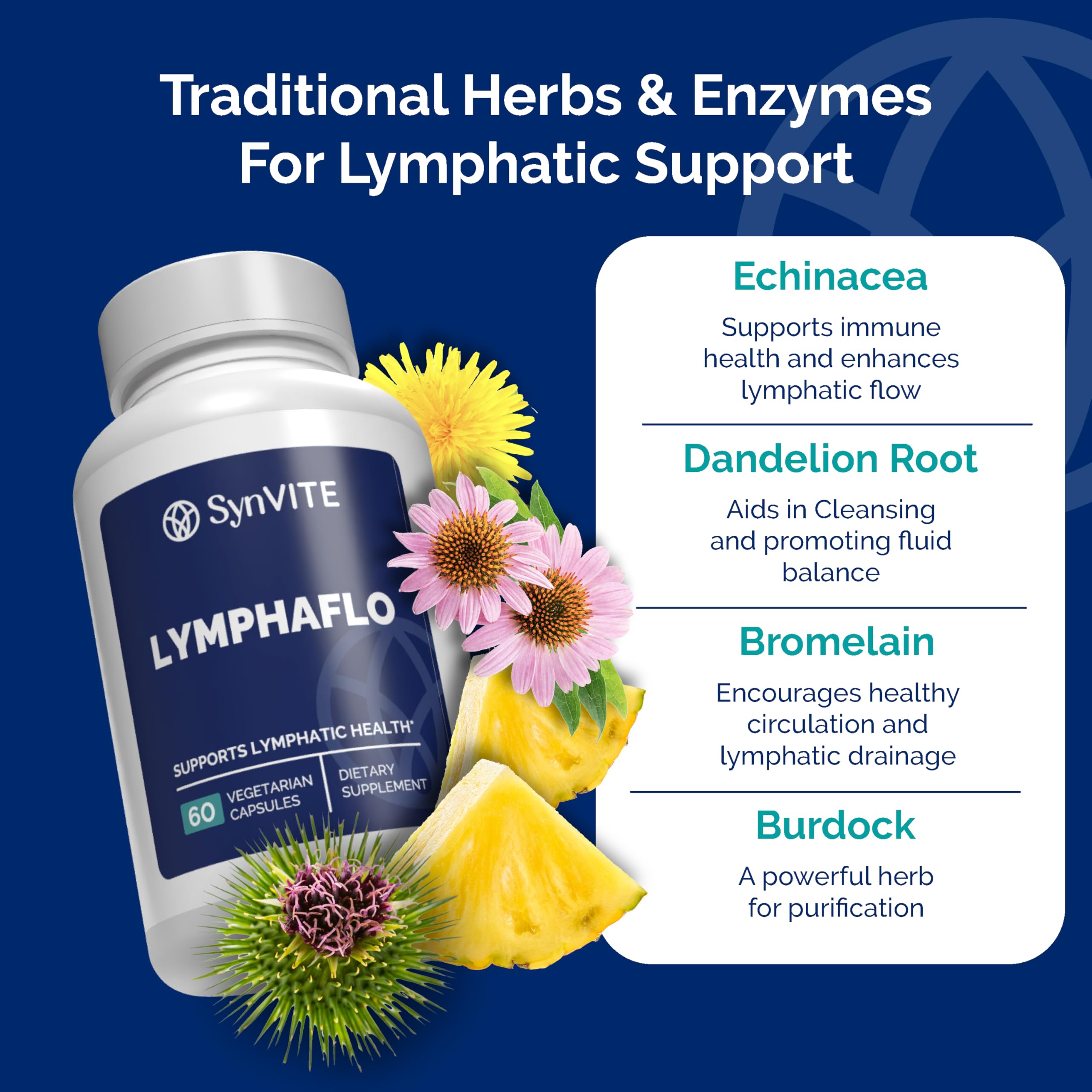 Label view highlights bromelain, echinacea, and dandelion for holistic lymphatic support.