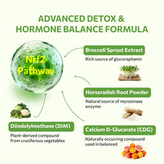 SYZY GENICS horseradish myrosinase activation icon signaling enhanced sulforaphane conversion.