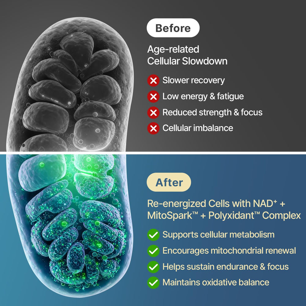 Softgels in a blister pack showing portable, protected delivery from SYZY GENICS.
