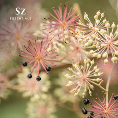 Sz Essentials Himalayan roots closeup reveals wild-harvest origin and earthy notes.