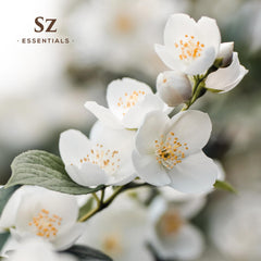Diffuser scene with Sz Essentials Jasmine Absolute Oil for calming ambiance