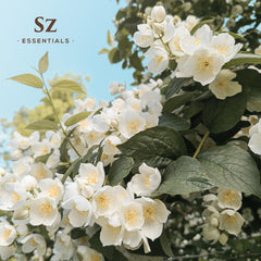 Natural perfume bottle idea using Sz Essentials Jasmine Absolute Oil for layered aroma