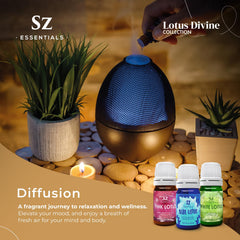 Sz Essentials Glass bottle highlight for premium design