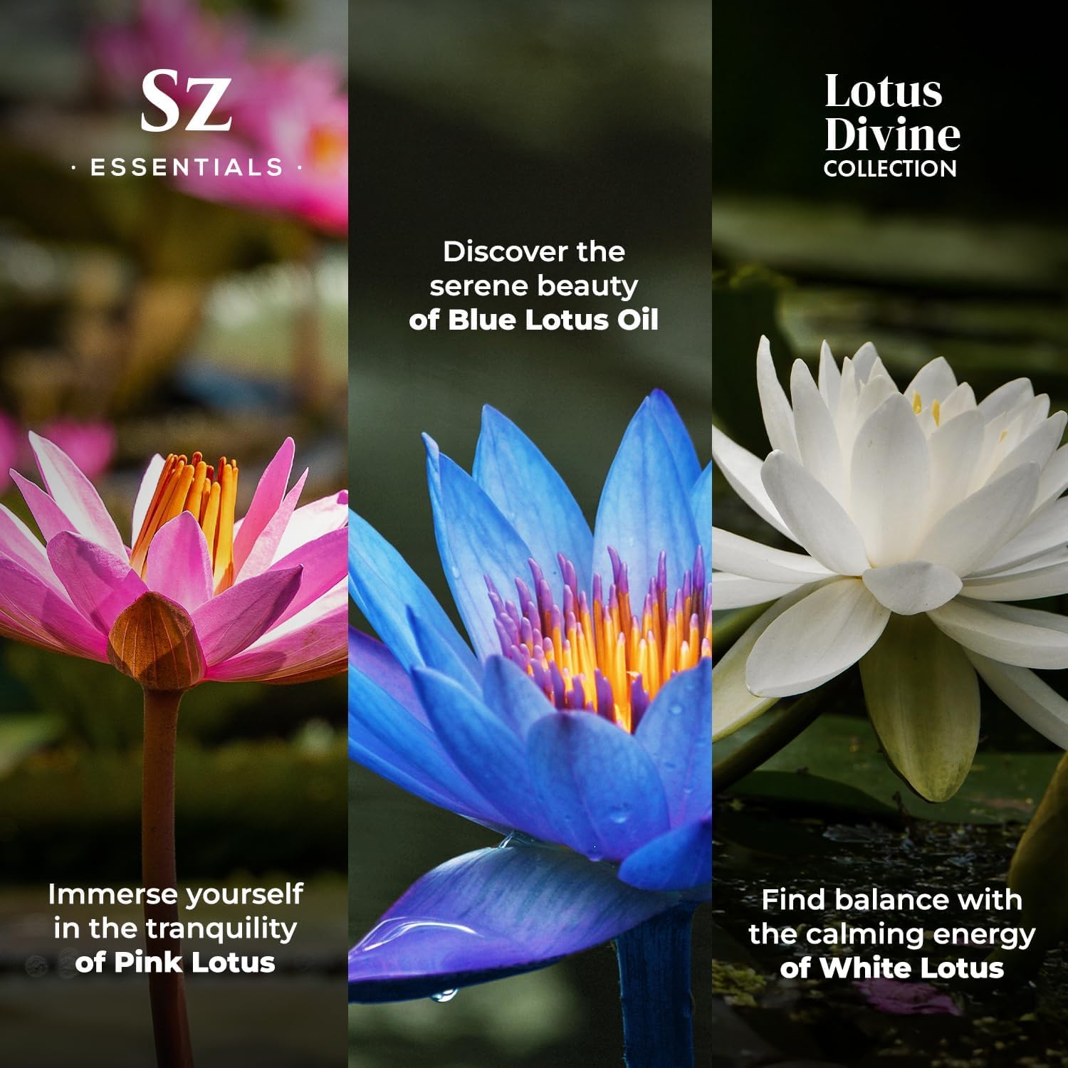 Sz Essentials White Lotus oil bottle for tranquil mind and daily calm