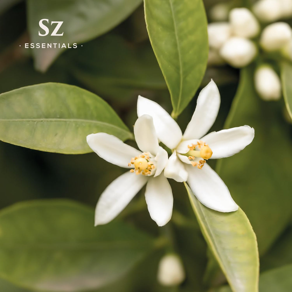 Sz Essentials Neroli oil label detail highlighting purity and undiluted formula