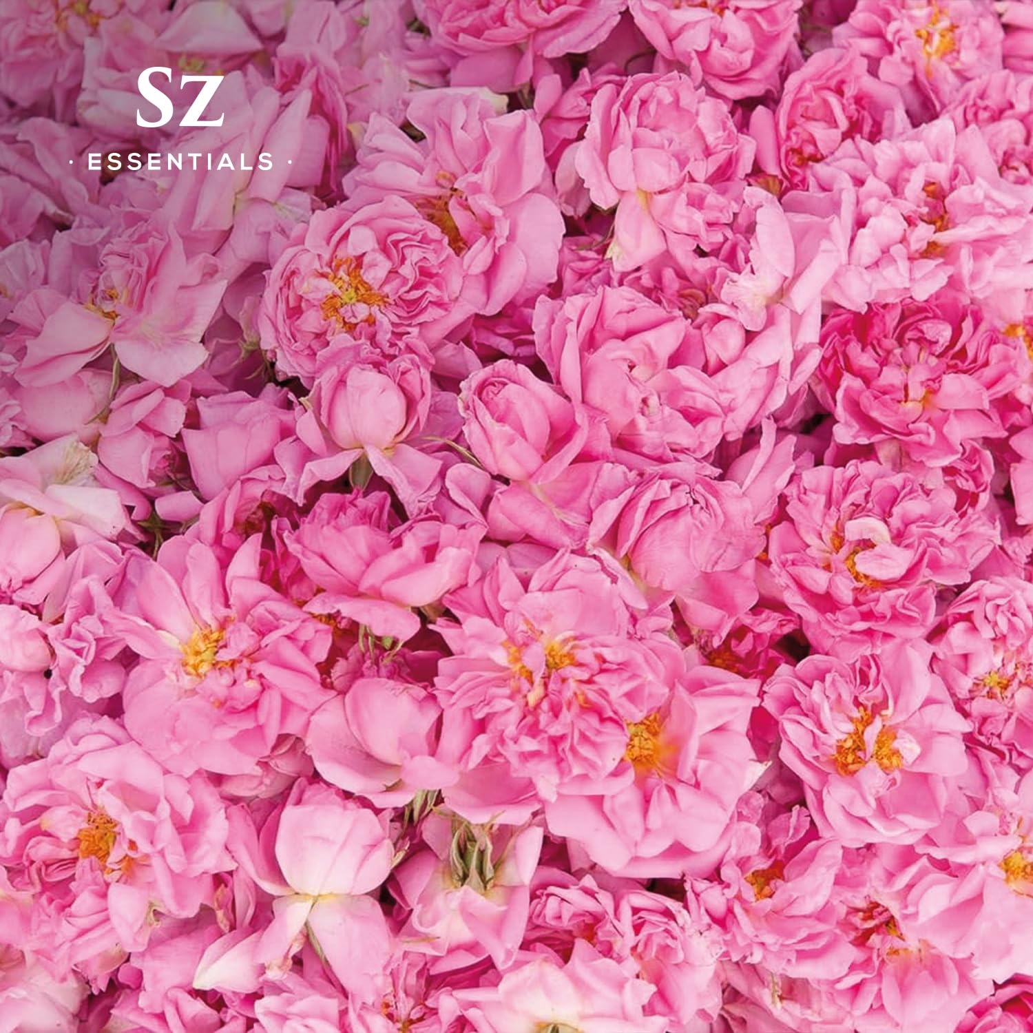 Sz Essentials Rose Absolute Oil diffuser in a room for a soothing, spa-like ambience.