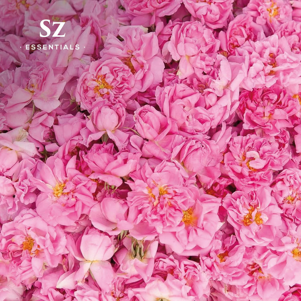 Sz Essentials Rose Absolute Oil diffuser in a room for a soothing, spa-like ambience.