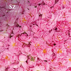 Sz Essentials Rose Absolute Oil diffuser in a room for a soothing, spa-like ambience.