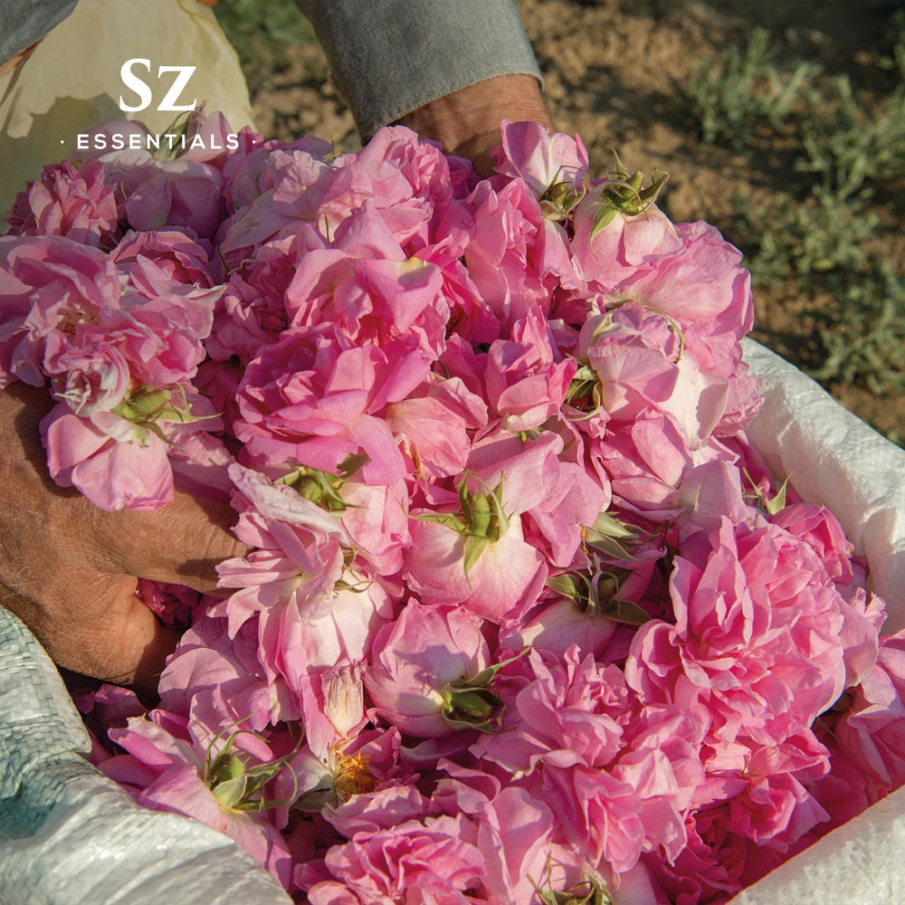 Sz Essentials Rose Absolute Oil label detail spotlights authentic Bulgarian sourcing and premium quality.